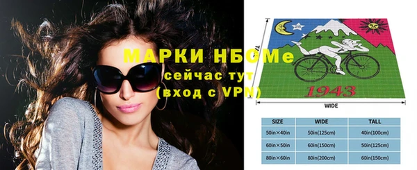 стафф Дмитриев