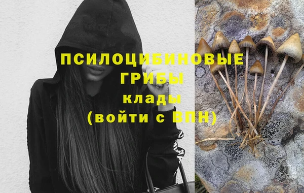 стафф Дмитриев