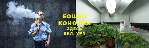 марки nbome Гусь-Хрустальный