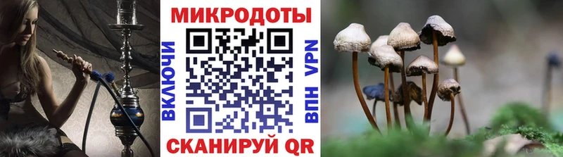 Псилоцибиновые грибы мицелий  Купить  Каргополь 