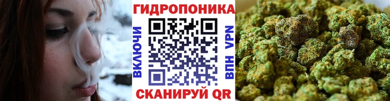 Купить где  Каргополь  МАРИХУАНА LSD WEED 